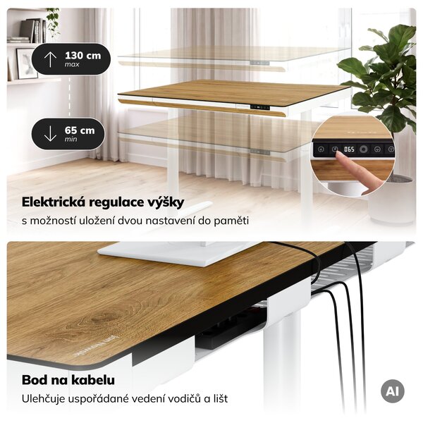 Elektrický psací stůl sit-stand se zásuvkou a bezdrátovou nabíječkou Qi bílý/zlatý dub, 1200 mm: ELLIS