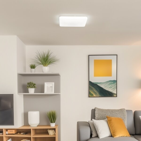 Brilagi - LED Stmívatelné stropní svítidlo OPAL LED/24W/230V 3000/4000/6500K+DO