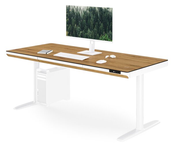 Elektrický psací stůl sit-stand se zásuvkou a bezdrátovou nabíječkou Qi bílý/zlatý dub, 1600 mm: ELLIS