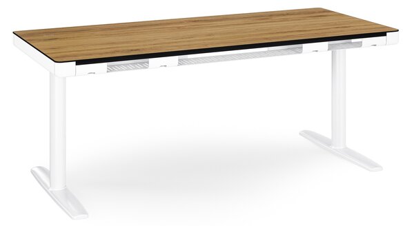 Elektrický psací stůl sit-stand se zásuvkou a bezdrátovou nabíječkou Qi bílý/zlatý dub, 1600 mm: ELLIS