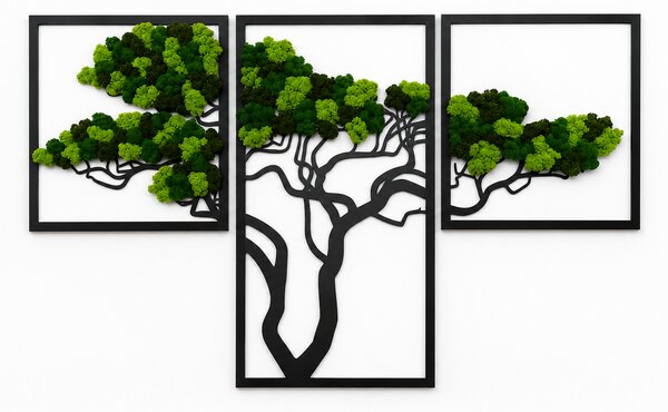 Mechový obraz - strom TRIO Velikost rámu: 78cm x 49cm