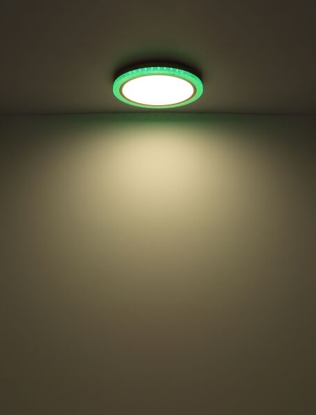 Globo 41372-24 - LED RGBW Stmívatelné stropní svítidlo BOLLY LED/20W/230V + DO