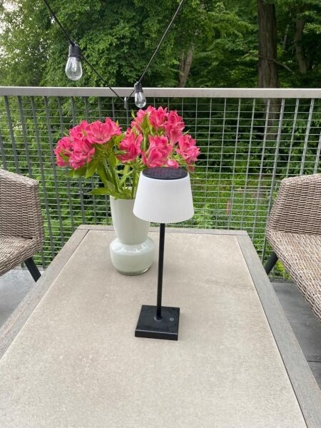 Immax 08492L - LED Stmívatelná venkovní solární lampa LED/4W/5V IP44