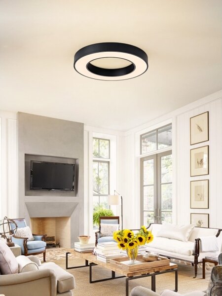 Immax NEO 07209L-LED Stmívatelné svítidlo PASTEL LED/53W/230V 60cm černá Tuya+DO