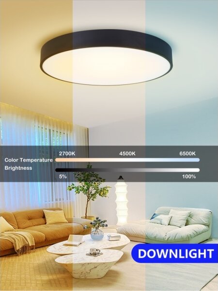 Immax NEO 07202L-LED Stmívatelné stropní svítidlo RONDATE 53W/230V černá Tuya+DO