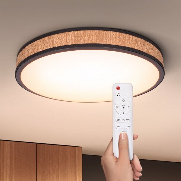 Brilagi - LED Stmívatelné stropní svítidlo ROSA LED/48W/230V 3000-6500K + DO