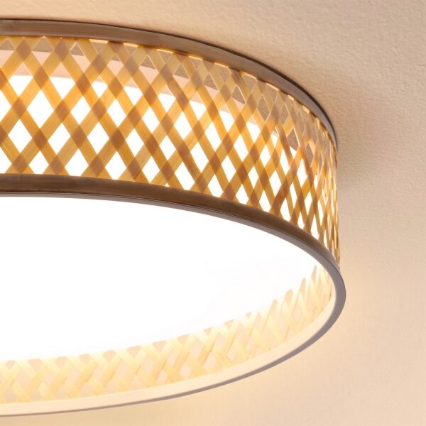 Brilagi - LED Stmívatelné stropní svítidlo CAMILA LED/48W/230V 3000-6500K + DO
