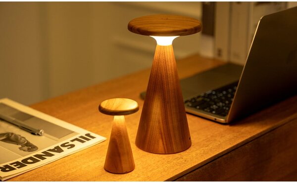 LED stolní lampa v tmavě přírodní barvě s dřevěným stínidlem (výška 14 cm) Sylva – Gingko