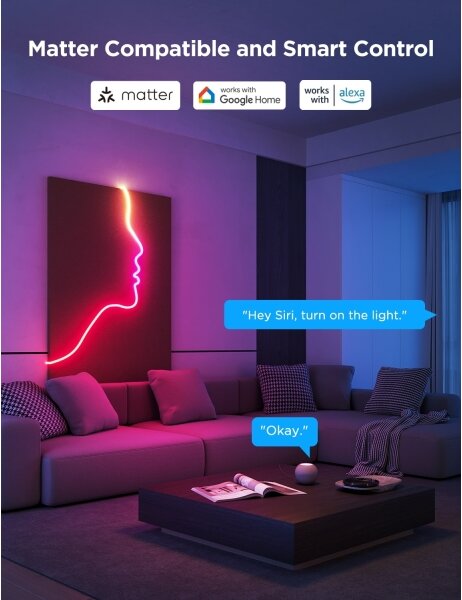 Govee - Neon 2 MATTER ohebný LED pásek 5m RGBIC Wi-Fi IP67