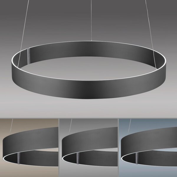 ZÁVĚSNÉ LED SVÍTIDLO, 70/350 cm Neuhaus PURE - Závěsná světla