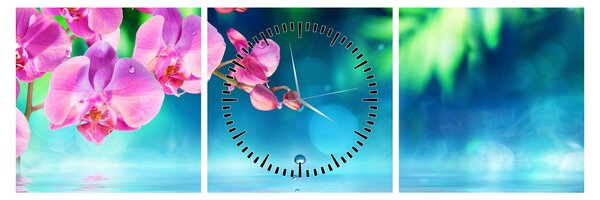 Obraz - Orchidej (s hodinami) (90x30 cm)