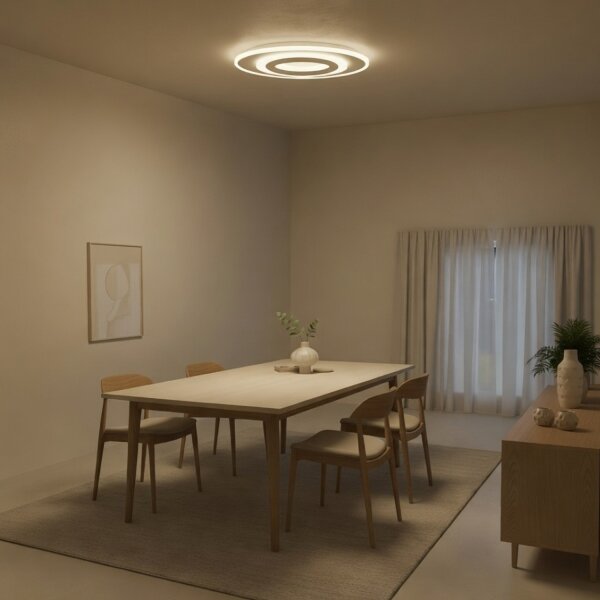 Brilagi - LED Stmívatelné stropní svítidlo MODERN LED/45W/230V 3000-6000K + DO
