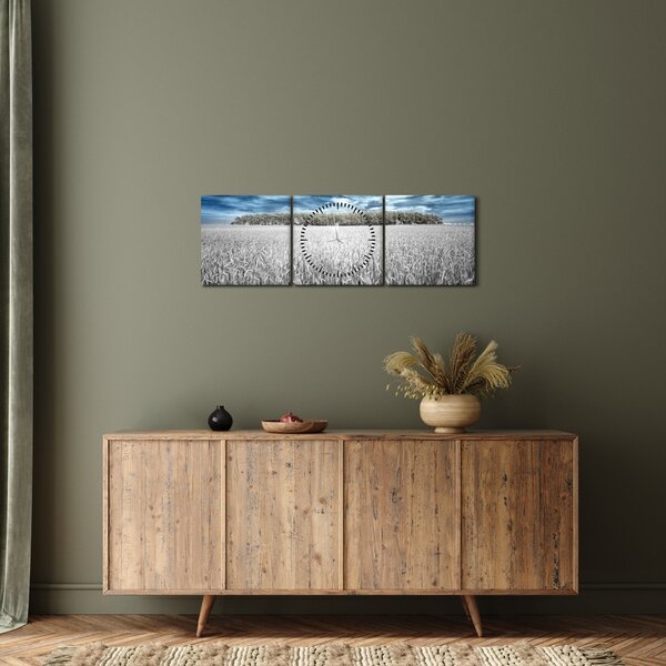 Obraz pole (s hodinami) (90x30 cm)