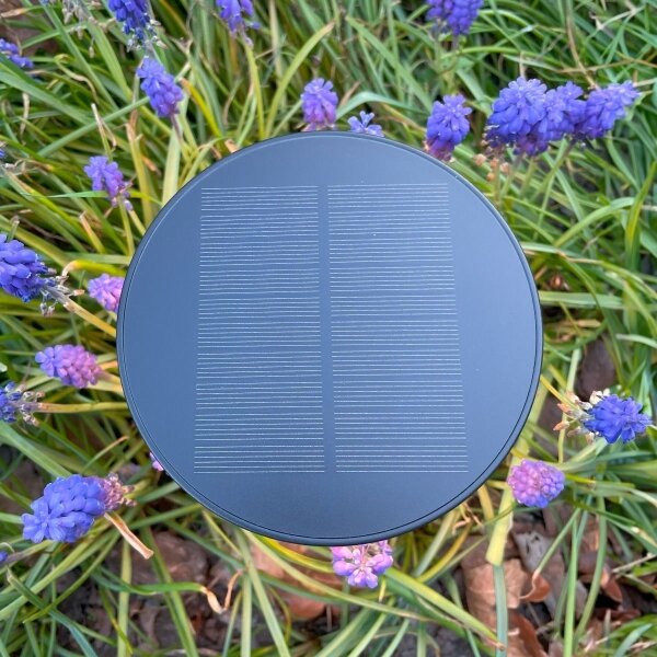 Zuma Line DT33611 - LED Solární lampa CARLI LED/2W/2000 mAh IP44 černá