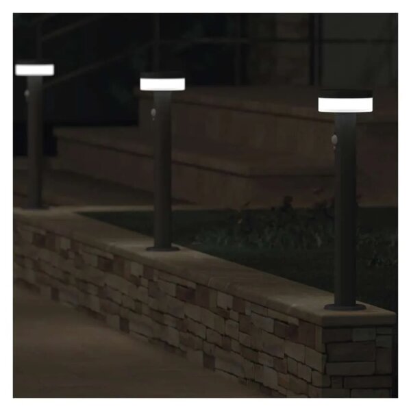 LED Solární lampa se senzorem LED/2W/3,7V 1200 mAh IP44 50 cm