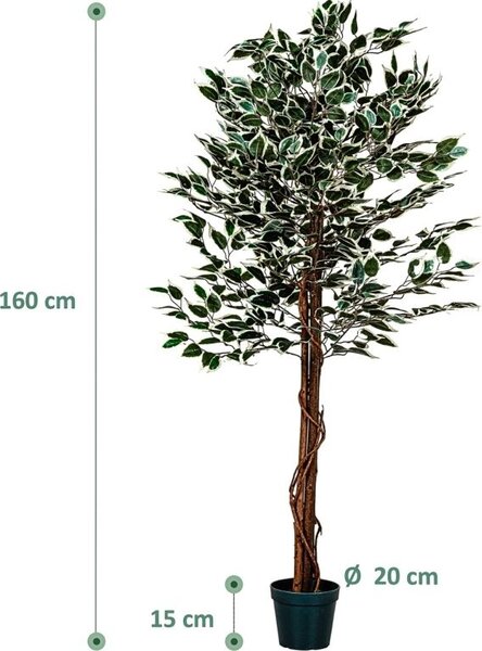 Umělý fíkus 160 cm s pravým dřevem do interiéru