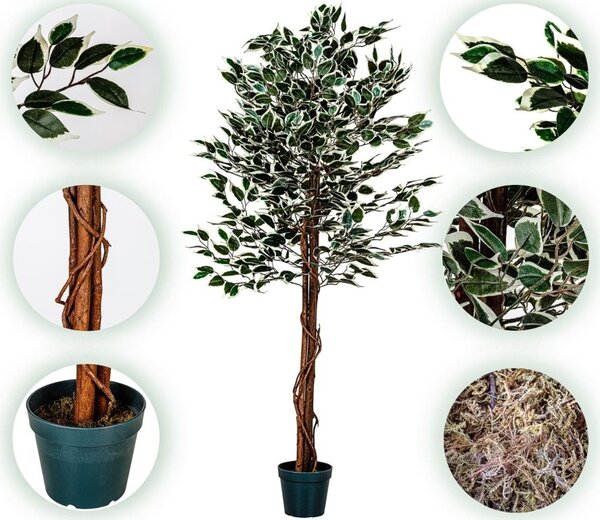 Umělý fíkus 160 cm s pravým dřevem do interiéru