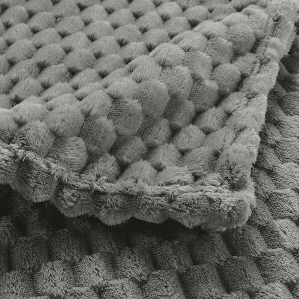 Šedá deka z mikroflanelu 125x150 cm Mini Frosty – douceur d'intérieur