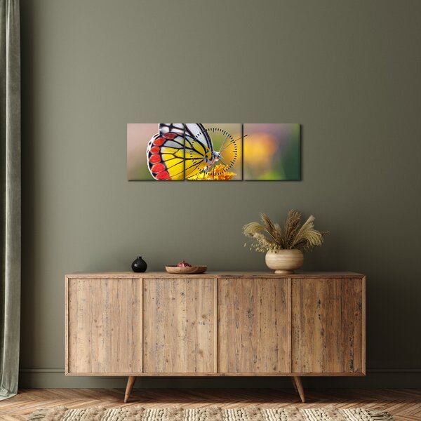 Obraz motýla na květu (s hodinami) (90x30 cm)