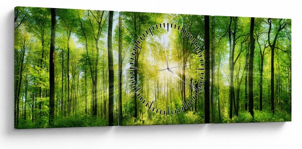 Obraz - Svítání v lese (s hodinami) (90x30 cm)