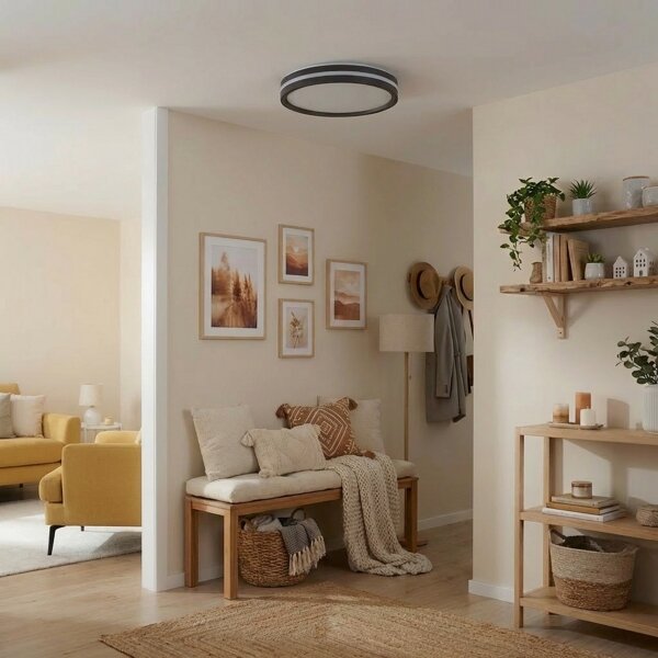 Brilagi - LED Stmívat. svítidlo NAOMI LED/48W/230V 3000-6500K pr. 39 cm černá+DO