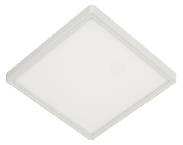 STROPNÍ LED SVÍTIDLO, 30/30/4 cm Novel - Stropní svítidla