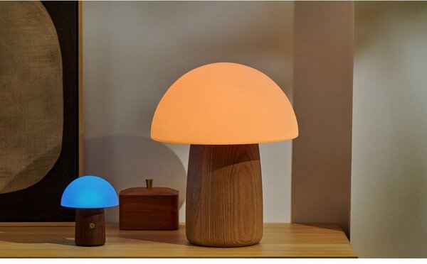 Bílá/v tmavě přírodní barvě LED stolní lampa (výška 12,5 cm) Alice Mushroom – Gingko