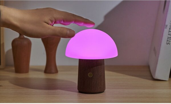 Bílá/v tmavě přírodní barvě LED stolní lampa (výška 12,5 cm) Alice Mushroom – Gingko