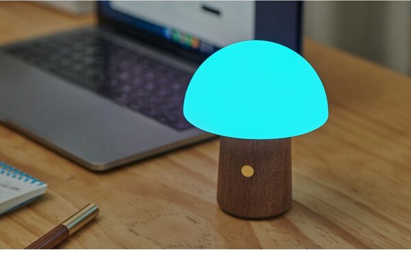 Bílá/v tmavě přírodní barvě LED stolní lampa (výška 12,5 cm) Alice Mushroom – Gingko