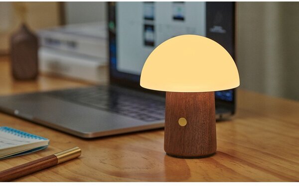 Bílá/v tmavě přírodní barvě LED stolní lampa (výška 12,5 cm) Alice Mushroom – Gingko