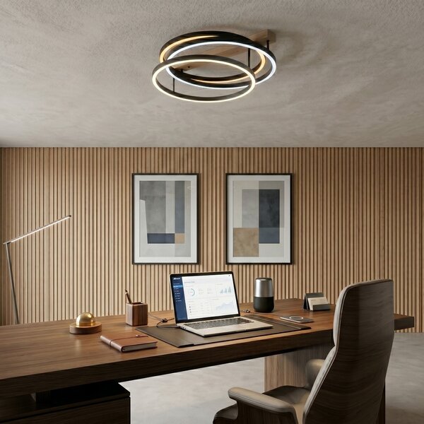Toolight Rea, Stropní svítidlo LED SWE058-C BLACK, OSW-20158