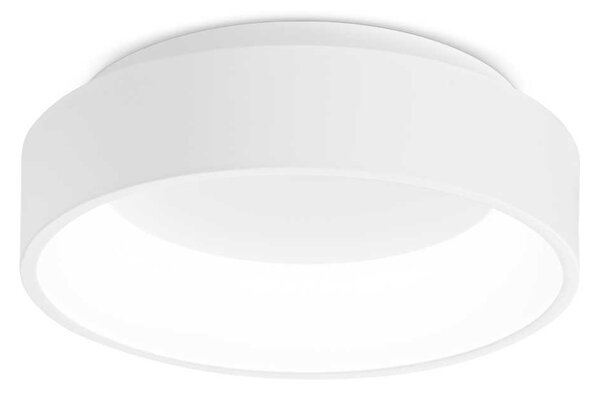 Ideal Lux Stropní LED svítidlo ZIGGY ⌀30cm Barva: Bílá