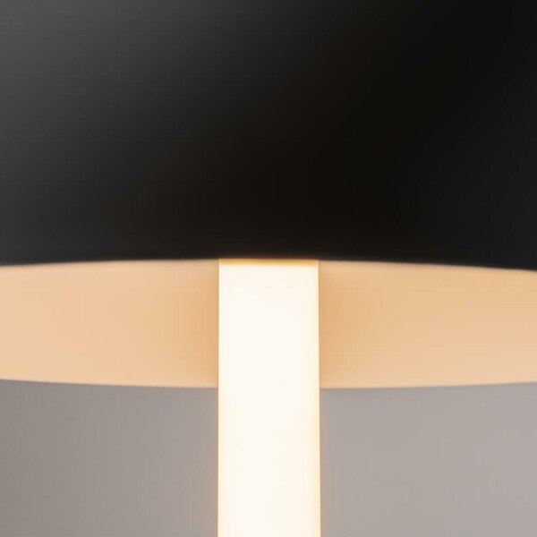 MAYTONI Stolní lampa Ray Z012TL-L8B3K