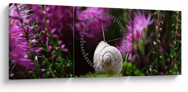 Obraz - Šnečí ulita (s hodinami) (90x30 cm)