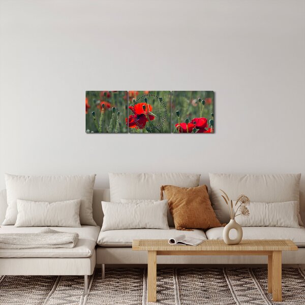 Obraz - Louka s Vlčími máky (s hodinami) (90x30 cm)