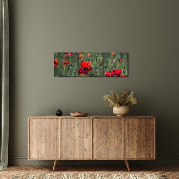 Obraz - Louka s Vlčími máky (s hodinami) (90x30 cm)