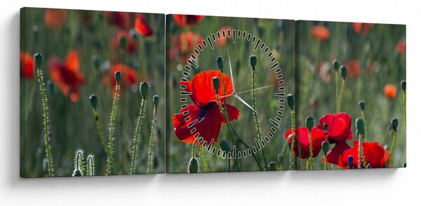Obraz - Louka s Vlčími máky (s hodinami) (90x30 cm)