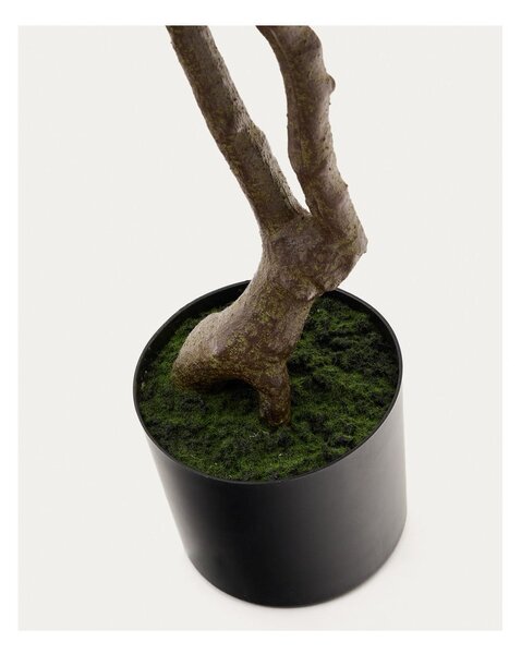 Umělá rostlina (výška 180 cm) Pachira – Kave Home