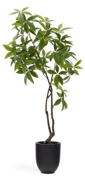 Umělá rostlina (výška 180 cm) Pachira – Kave Home
