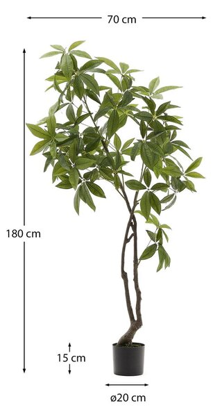 Umělá rostlina (výška 180 cm) Pachira – Kave Home