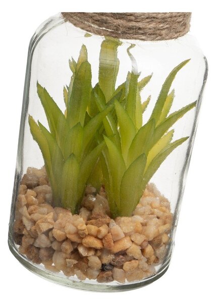 Umělé rostliny v sadě 4 ks (výška 12 cm) Cactus – Casa Selección