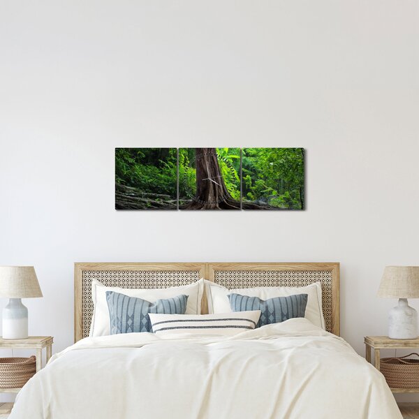 Obraz - Starý strom s kořeny (s hodinami) (90x30 cm)
