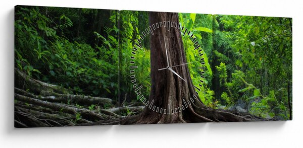 Obraz - Starý strom s kořeny (s hodinami) (90x30 cm)