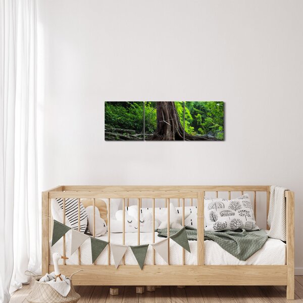 Obraz - Starý strom s kořeny (s hodinami) (90x30 cm)