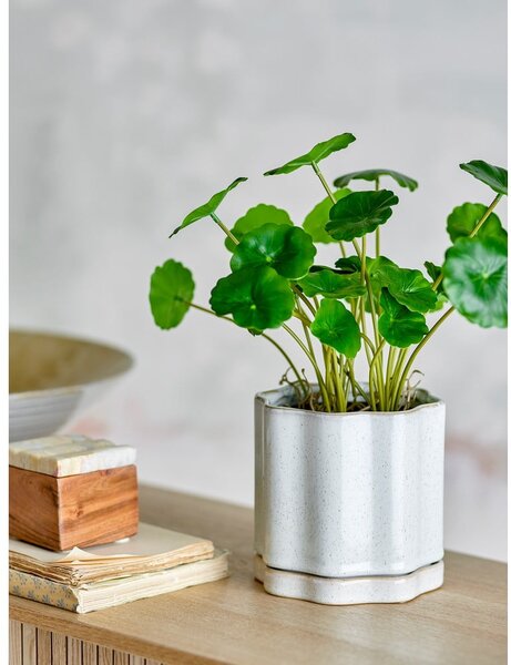 Kameninový květináč na bylinky ø 13 cm Argyle – Bloomingville