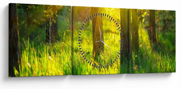 Obraz - Jarní probouzení lesa (s hodinami) (90x30 cm)