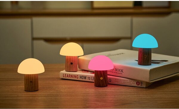LED stmívatelná stolní lampa z jasanového dřeva v přírodní barvě (výška 7 cm) Alice – Gingko