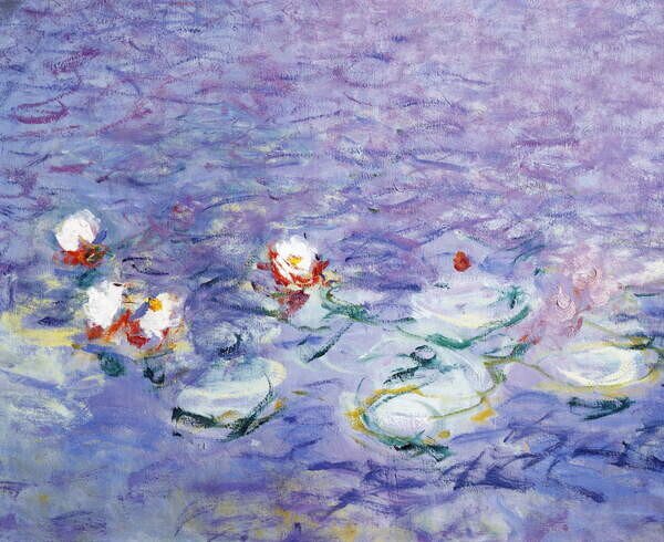 Monet, Claude - Obrazová reprodukce Water Lilies, (40 x 35 cm)