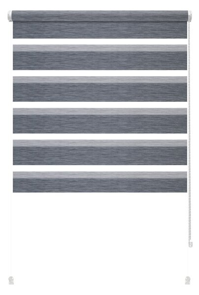 Antracitová roleta den a noc 72,5x150 cm Zebra Silvalin – Gardinia