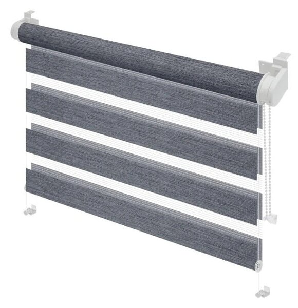 Antracitová roleta den a noc 72,5x150 cm Zebra Silvalin – Gardinia